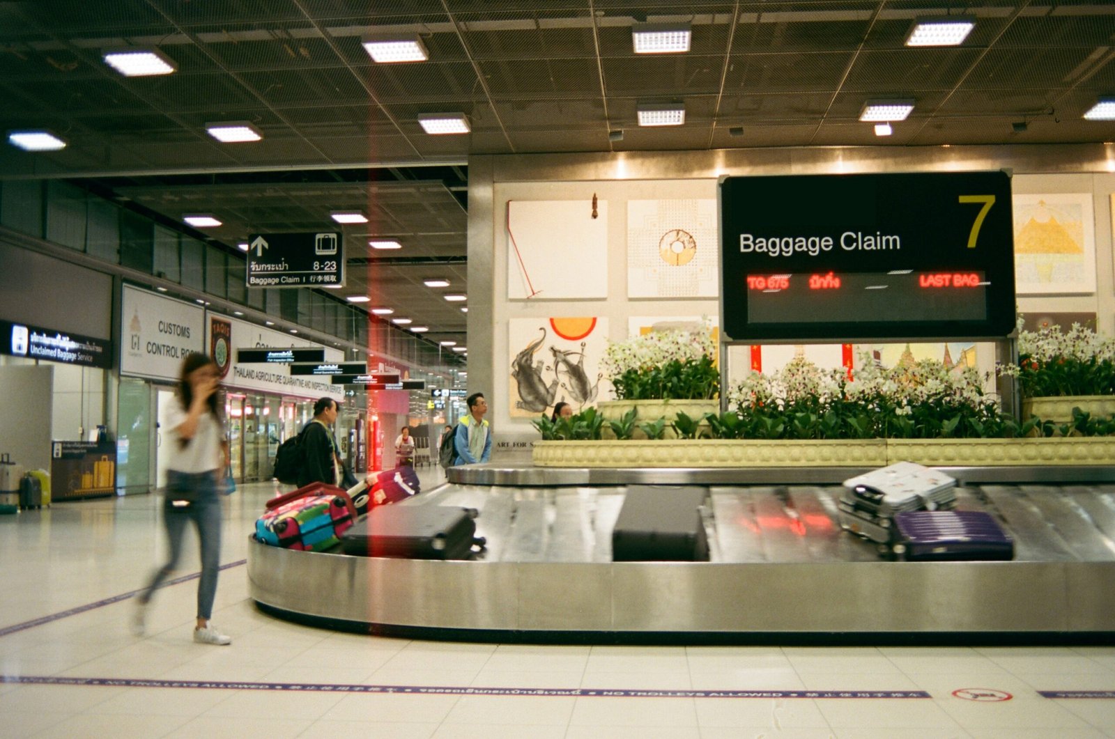 Best airline credit cards for free checked bags