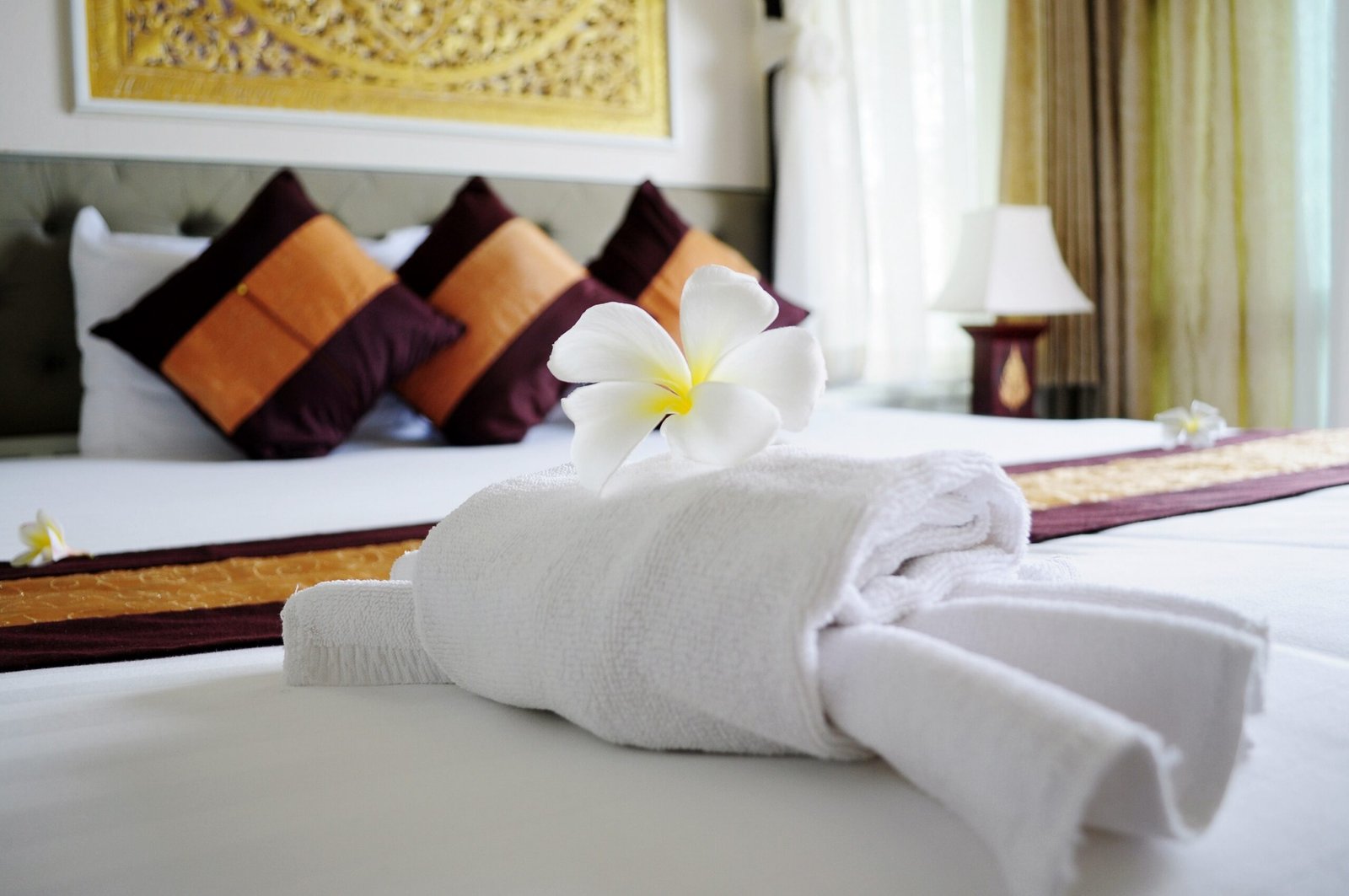 best hotel rewards programs
